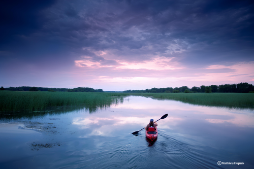 Hôtels Gouverneur Montréal Île Charron Parc Iles De Boucherville Kayak Summer